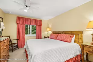 431 W Hopkins Ave, Aspen, CO 81611 - Photo 38