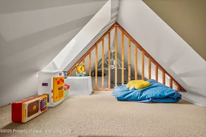431 W Hopkins Avenue, Aspen, CO 81611 - Photo 34