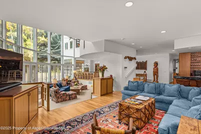 431 W Hopkins Avenue, Aspen, CO 81611 - Photo 10