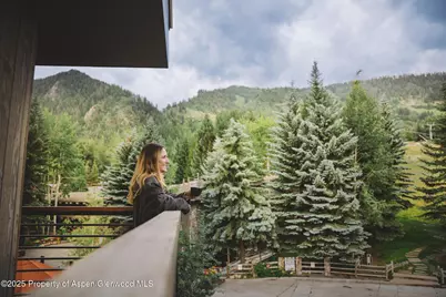 550 S Spring Street #F2-1, Aspen, CO 81611 - Photo 8