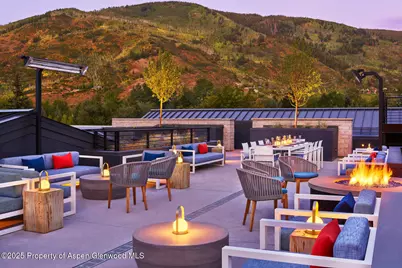 550 S Spring Street #F2-1, Aspen, CO 81611 - Photo 12