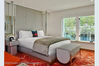 550 S Spring Street #F2-1, Aspen, CO 81611 - Photo 6