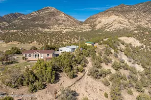 1171 Co Rd 259, Rifle, CO 81650 - Photo 20