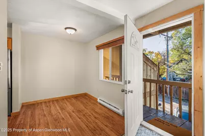 718 Main Street, Carbondale, CO 81623 - Photo 8