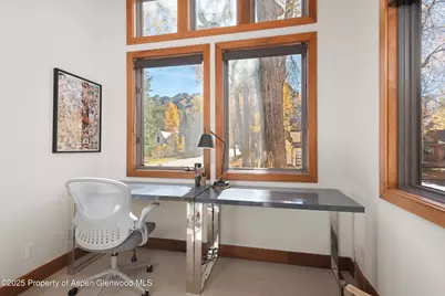 602 W Hallam Street, Aspen, CO 81611 - Photo 22