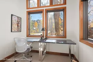 602 W Hallam St, Aspen, CO 81611 - Photo 22