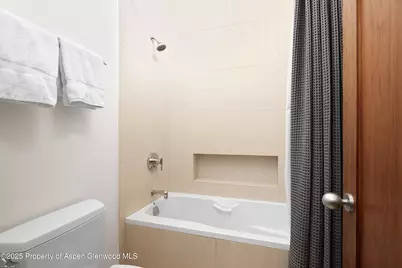 602 W Hallam Street, Aspen, CO 81611 - Photo 30