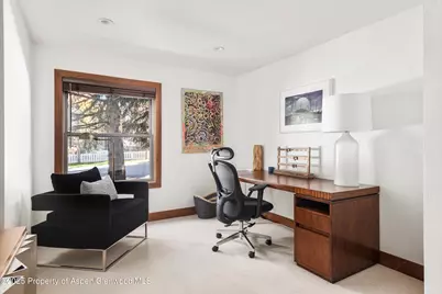 602 W Hallam Street, Aspen, CO 81611 - Photo 14