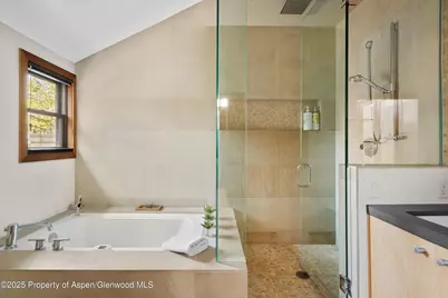 602 W Hallam Street, Aspen, CO 81611 - Photo 20