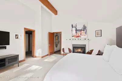 602 W Hallam Street, Aspen, CO 81611 - Photo 18