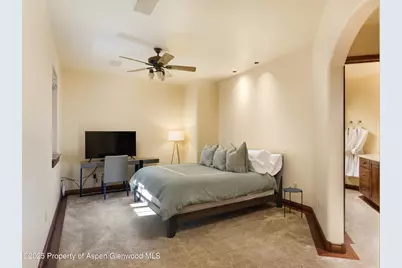388 Exhibition Lane, Aspen, CO 81611 - Photo 34