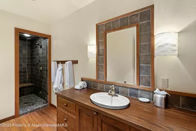 388 Exhibition Lane, Aspen, CO 81611 - Photo 26