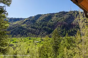 388 Exhibition Ln, Aspen, CO 81611 - Photo 24