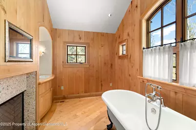 388 Exhibition Lane, Aspen, CO 81611 - Photo 18
