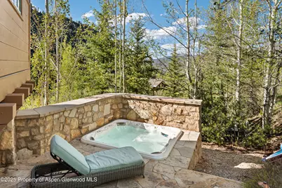 388 Exhibition Lane, Aspen, CO 81611 - Photo 22