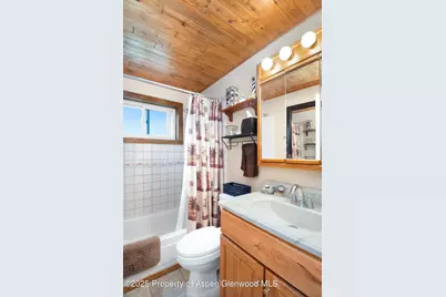 1849 Odin Drive, Silt, CO 81652 - Photo 12