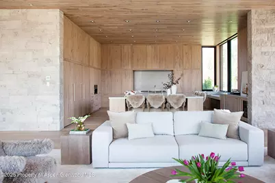 88 Clover Lane, Woody Creek, CO 81656 - Photo 6