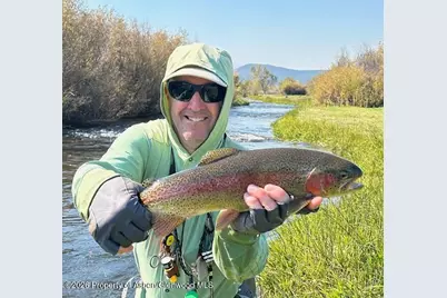 14913 Hwy 82 #247, Carbondale, CO 81623 - Photo 36