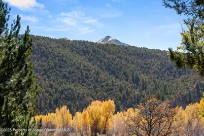 14913 Hwy 82 #247, Carbondale, CO 81623 - Photo 30