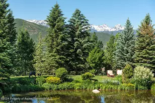 120 Running Mare Rd, Woody Creek, CO 81656 - Photo 8