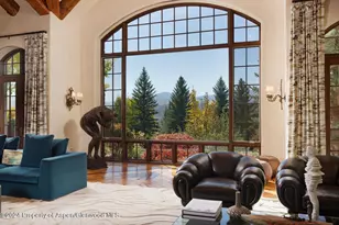 120 Running Mare Rd, Woody Creek, CO 81656 - Photo 18