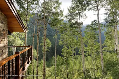 6770 Castle Creek Road, Aspen, CO 81611 - Photo 38