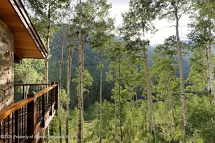 6770 Castle Creek Rd, Aspen, CO 81611 - Photo 38