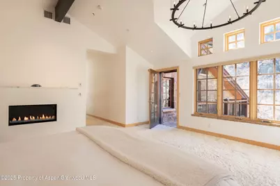 6770 Castle Creek Road, Aspen, CO 81611 - Photo 16