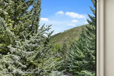 950 Vine Street, Aspen, CO 81611 - Photo 18