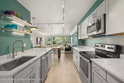 950 Vine Street, Aspen, CO 81611 - Photo 8