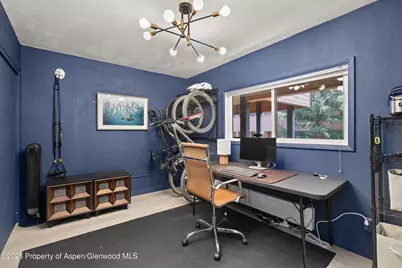 950 Vine Street, Aspen, CO 81611 - Photo 16