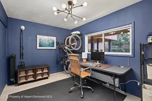 950 Vine St, Aspen, CO 81611 - Photo 16