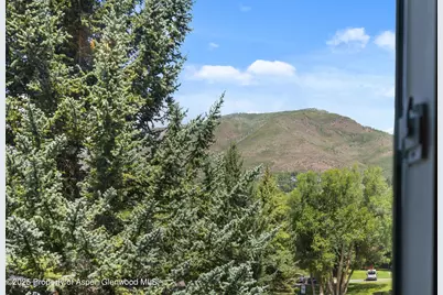 950 Vine Street, Aspen, CO 81611 - Photo 20