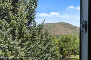 950 Vine St, Aspen, CO 81611 - Photo 20
