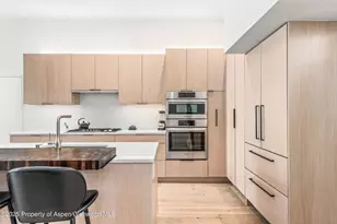 155 Lone Pine Rd Rd, Aspen, CO 81611 - Photo 18