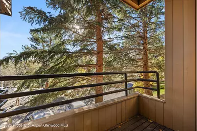 35 Lower Woodbridge Road #V/177, Snowmass Village, CO 81615 - Photo 8