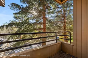 35 Lower Woodbridge Rd, Snowmass Village, CO 81615 - Photo 8