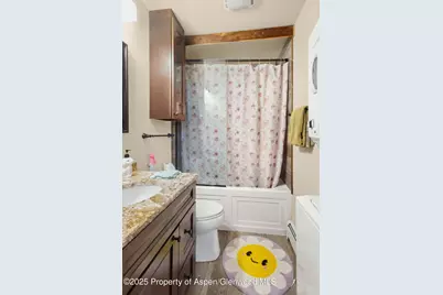 1015 Grand Avenue, Glenwood Springs, CO 81601 - Photo 10