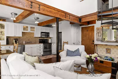 1024 E Cooper Avenue #8, Aspen, CO 81611 - Photo 2