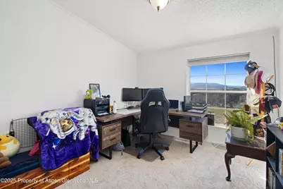 260 Lazy S Reverse S Drive, New Castle, CO 81647 - Photo 12