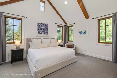 41 Choke Cherry Court, Carbondale, CO 81623 - Photo 10