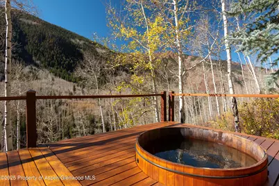 6770 Castle Creek Road, Aspen, CO 81611 - Photo 48