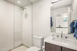 155 Lone Pine - River Bluff, Aspen, CO 81611 - Photo 34