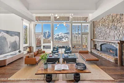 156 Eppley Drive, Aspen, CO 81611 - Photo 6