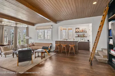 156 Eppley Drive, Aspen, CO 81611 - Photo 10