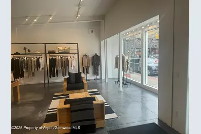 312 S Hunter Street, Aspen, CO 81611 - Photo 4