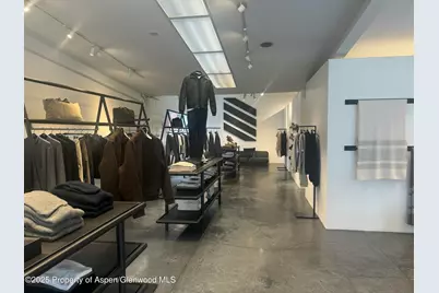 312 S Hunter Street, Aspen, CO 81611 - Photo 6