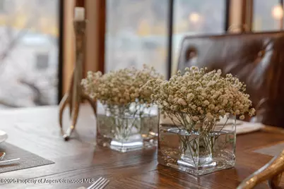 725 E Main Street #309, Aspen, CO 81611 - Photo 10