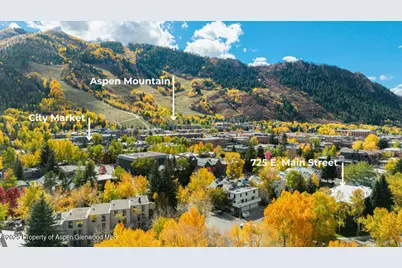 725 E Main Street #309, Aspen, CO 81611 - Photo 42