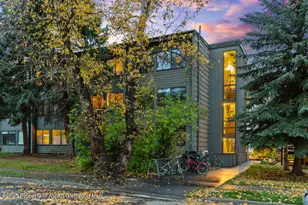 725 E Main St, Aspen, CO 81611 - Photo 34